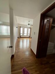 Palm Spring (D10), Condominium #562041591